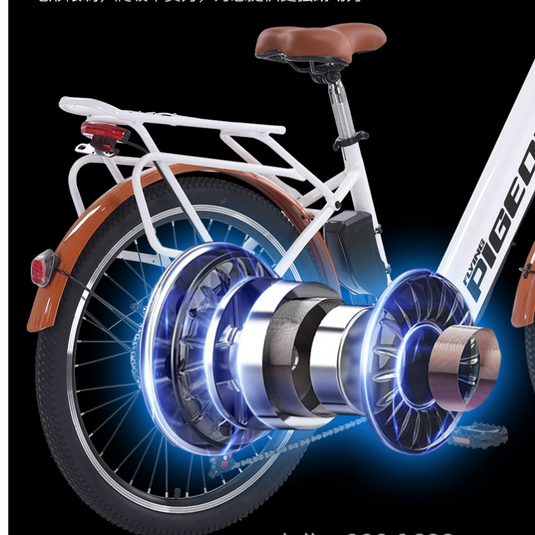 Flying Pigeon 350W 24 inch Wheel Type High Power Long Range Electric Bike Bicycle - Polar Tech Australia