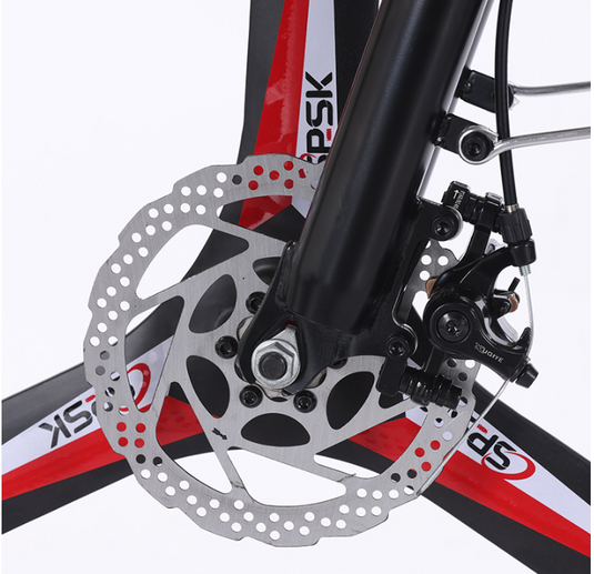 Flying Pigeon 350W 24 inch Wheel Type High Power Long Range Electric Bike Bicycle - Polar Tech Australia