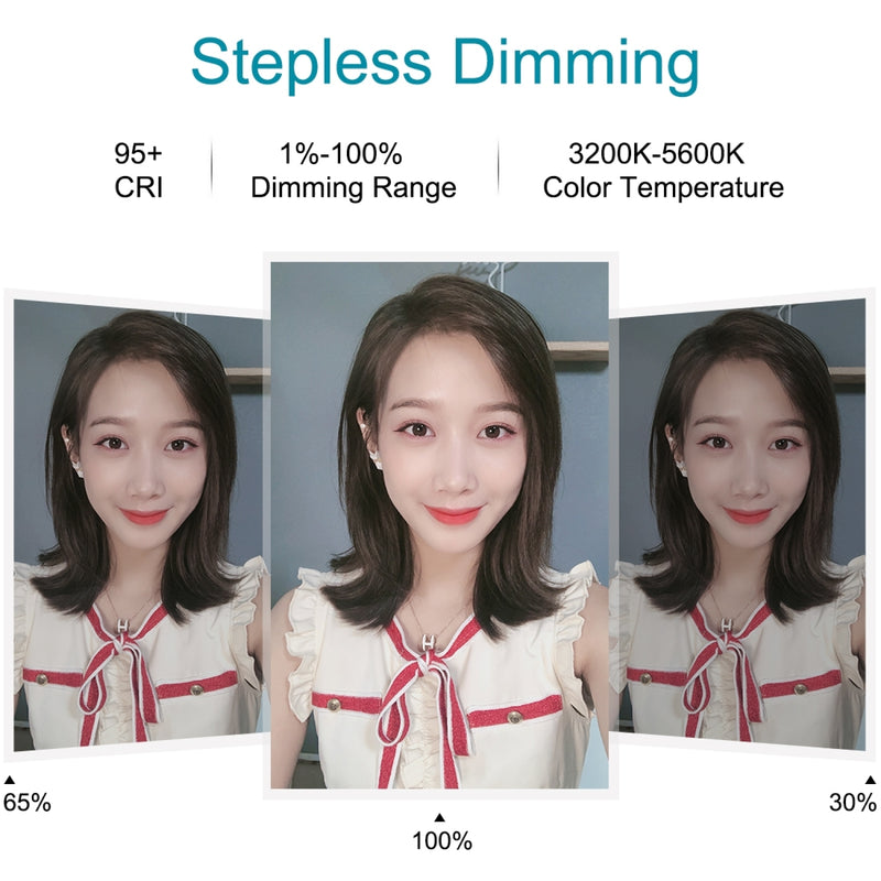 Chargez l'image dans la visionneuse de la galerie, 10.2" (26cm) USB LED Ring Light – 3 Lighting Modes, Dimmable Dual-Colour Temperature with Folding Desktop Stand & Phone Holder - Polar Tech Australia