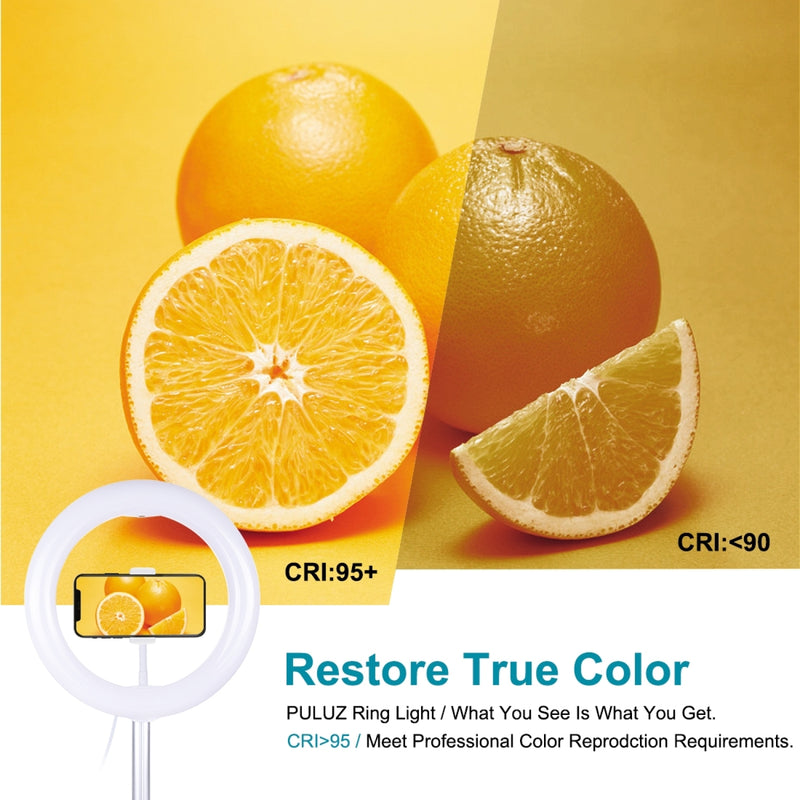 Chargez l'image dans la visionneuse de la galerie, 10.2" (26cm) USB LED Ring Light – 3 Lighting Modes, Dimmable Dual-Colour Temperature with Folding Desktop Stand & Phone Holder - Polar Tech Australia