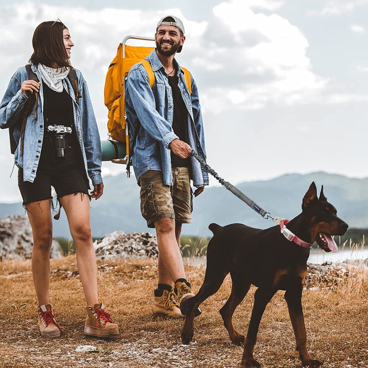 Cargue la imagen en el visor de la galería, For AirTag Tracker Silicone Sleeve Medium Dog Collar Nylon Reflective Anti-Tangle Pet Collar - Polar Tech Australia