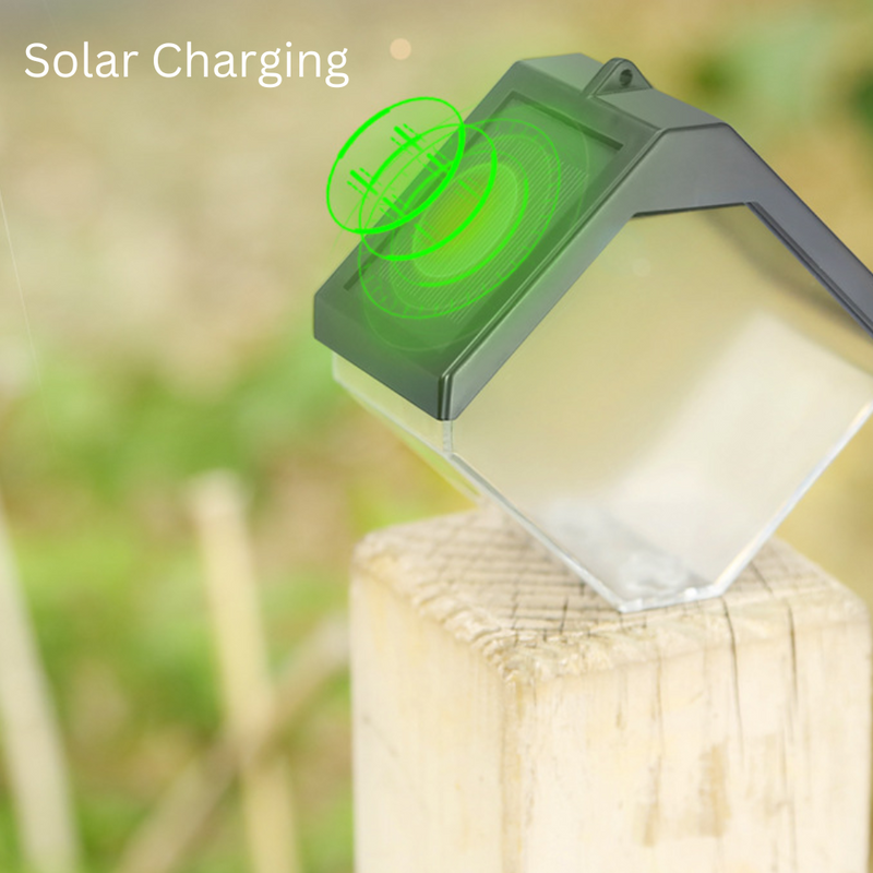 Load image into Gallery viewer, Colourful Solar Wall Lights Outdoor 6LED Waterproof Wall Lamp for Balcony Patio Courtyards Fence Lamps Garden Décor Solar Outdoor Wall Light - Polar Tech Australia