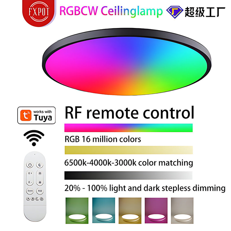 Chargez l&#39;image dans la visionneuse de la galerie, [TUYA Smart Home] RGB Dimmable LED 24W Ceiling Light Wireless Control Bedroom Living Room Light - Polar Tech Australia

