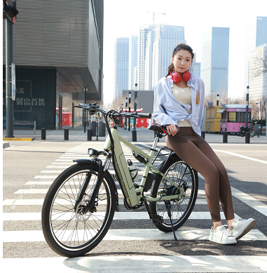 Chargez l&#39;image dans la visionneuse de la galerie, Flying Pigeon 400W 26 inch Wheel Type High Power Mountain Bike Long Range Electric Bike Bicycle
