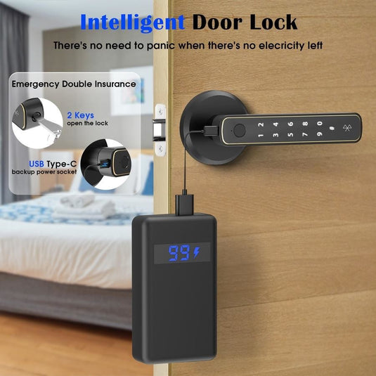 [TUYA Smart Home] Tuya Smart Fingerprint Wireless Biometric Passcode Apartment Room Wood Door Lock - Polar Tech Australia
