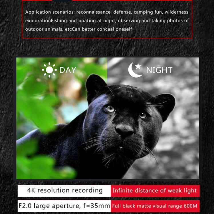 Cargue la imagen en el visor de la galería, [NV6000] Outdoor Hunting Twilight Full Color 4K HD Binocular Night Vision - Polar Tech Australia
