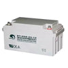 [BT-12M65AC] 12V/65Ah Battery Valve Regulated Sealed Lead-Acid UPS Battery Back up - Polar Tech Australia