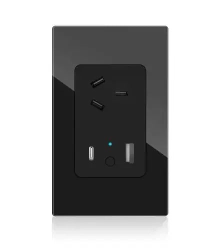 Cargue la imagen en el visor de la galería, [TUYA Smart Home] TUYA WiFi Smart 10A Wall Power Socket Outlet Glass Panel 1 Plug With 1 x USB &amp; 1 x PD 30W Port - Polar Tech Australia
