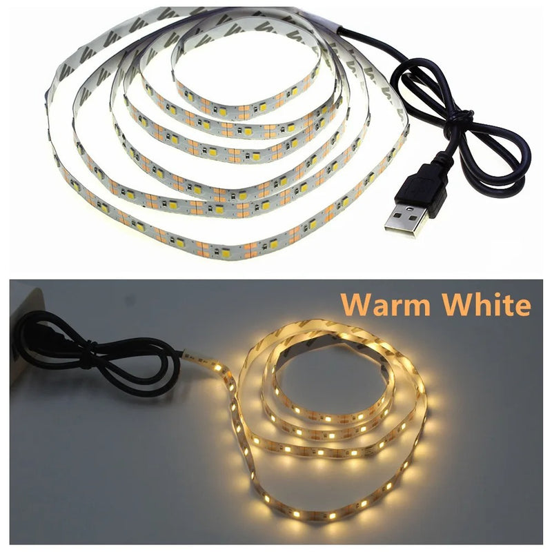 Cargue la imagen en el visor de la galería, 5M Resin Flexible USB Led Lights Strip Ribbon 120Leds 5V Customized According to Needs For Tv, Monitor
