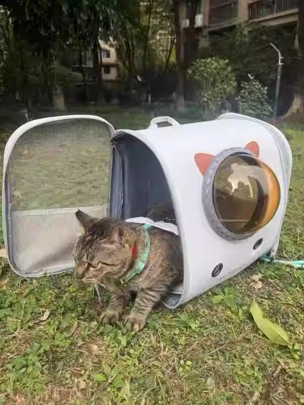 Load image into Gallery viewer, [Up to 10KG] Portable Lightweight Breathable Mesh Transparent Window Pet Cat Dog Carrying Bag
