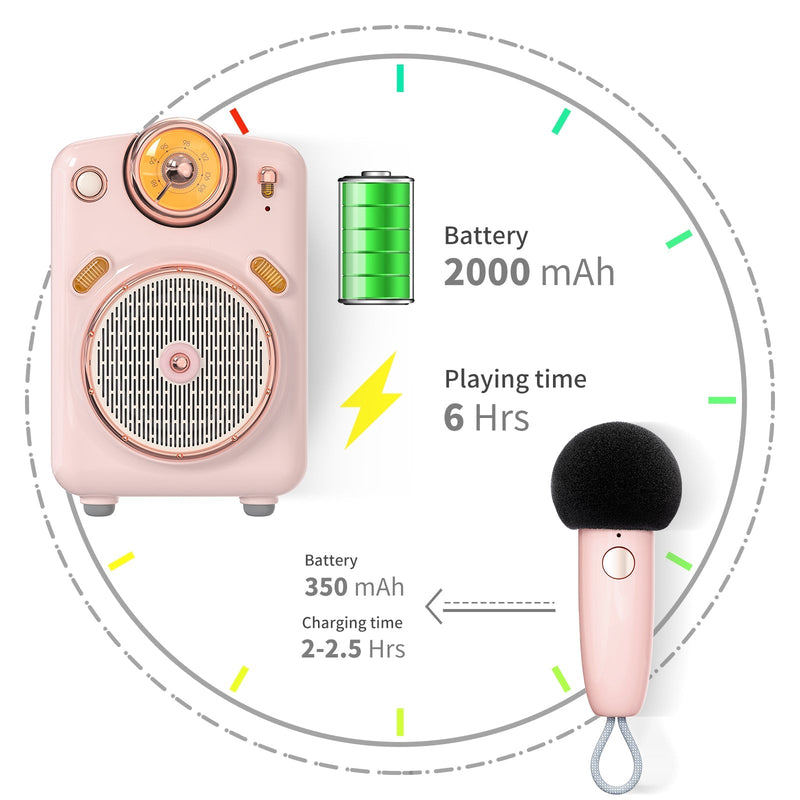 Cargue la imagen en el visor de la galería, Divoom Fairy-OK Retro Mini Karaoke Bluetooth Speaker With Microphone Girl Perfect Gift
