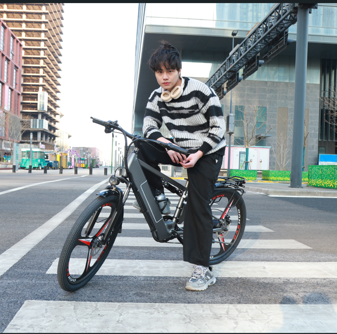 Chargez l&#39;image dans la visionneuse de la galerie, Flying Pigeon 400W 26 inch Wheel Type High Power Mountain Bike Long Range Electric Bike Bicycle
