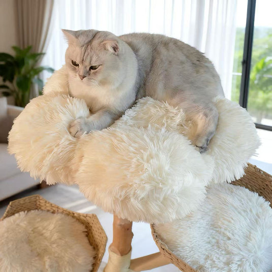 Luxury Multi-Level Cloud Cat Tree – Natural Fruitwood Rattan All-in-One Cat Bed & Climbing Frame