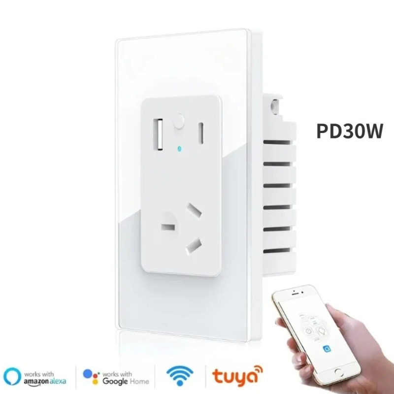 Cargue la imagen en el visor de la galería, [TUYA Smart Home] TUYA WiFi Smart 10A Wall Power Socket Outlet Glass Panel 1 Plug With 1 x USB &amp; 1 x PD 30W Port - Polar Tech Australia
