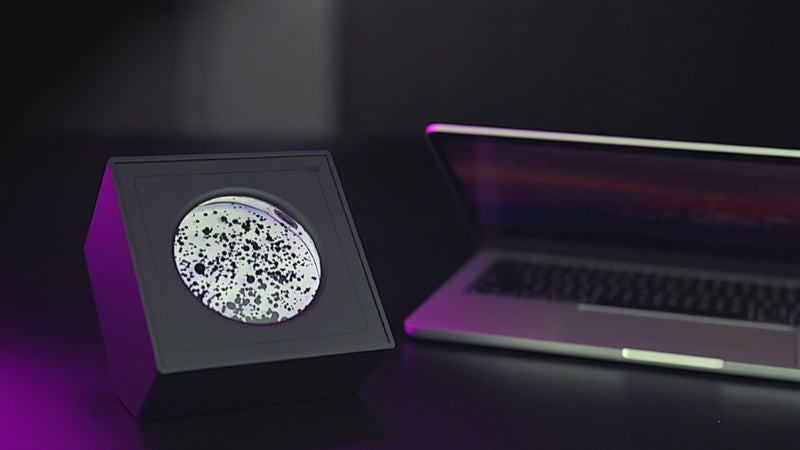 I18n Error: Missing interpolation value &quot;ImageAlt&quot; for &quot;Charger et jouer à la vidéo dans la visionneuse de galerie, {{ ImageAlt }}&quot;
