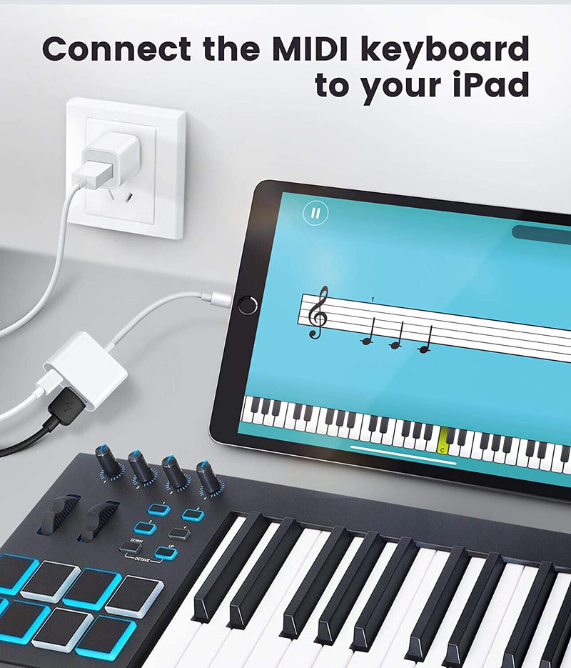Load image into Gallery viewer, Apple Lightning to Female USB &amp; USB-C Type-C OTG Adapter - Polar Tech Australia
