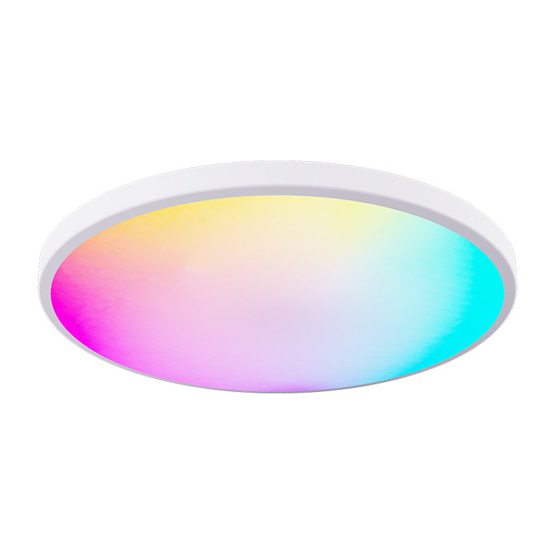 Cargue la imagen en el visor de la galería, [TUYA Smart Home] RGB Dimmable LED 24W Ceiling Light Wireless Control Bedroom Living Room Light - Polar Tech Australia
