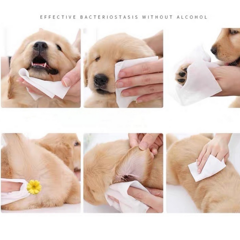 Cargue la imagen en el visor de la galería, [500 Wipes][15cm x 20cm][Alcohol Free] AST Pet Animal Cleaning Soft Wipes With Aloe &amp; Vitamin E - Polar Tech Australia
